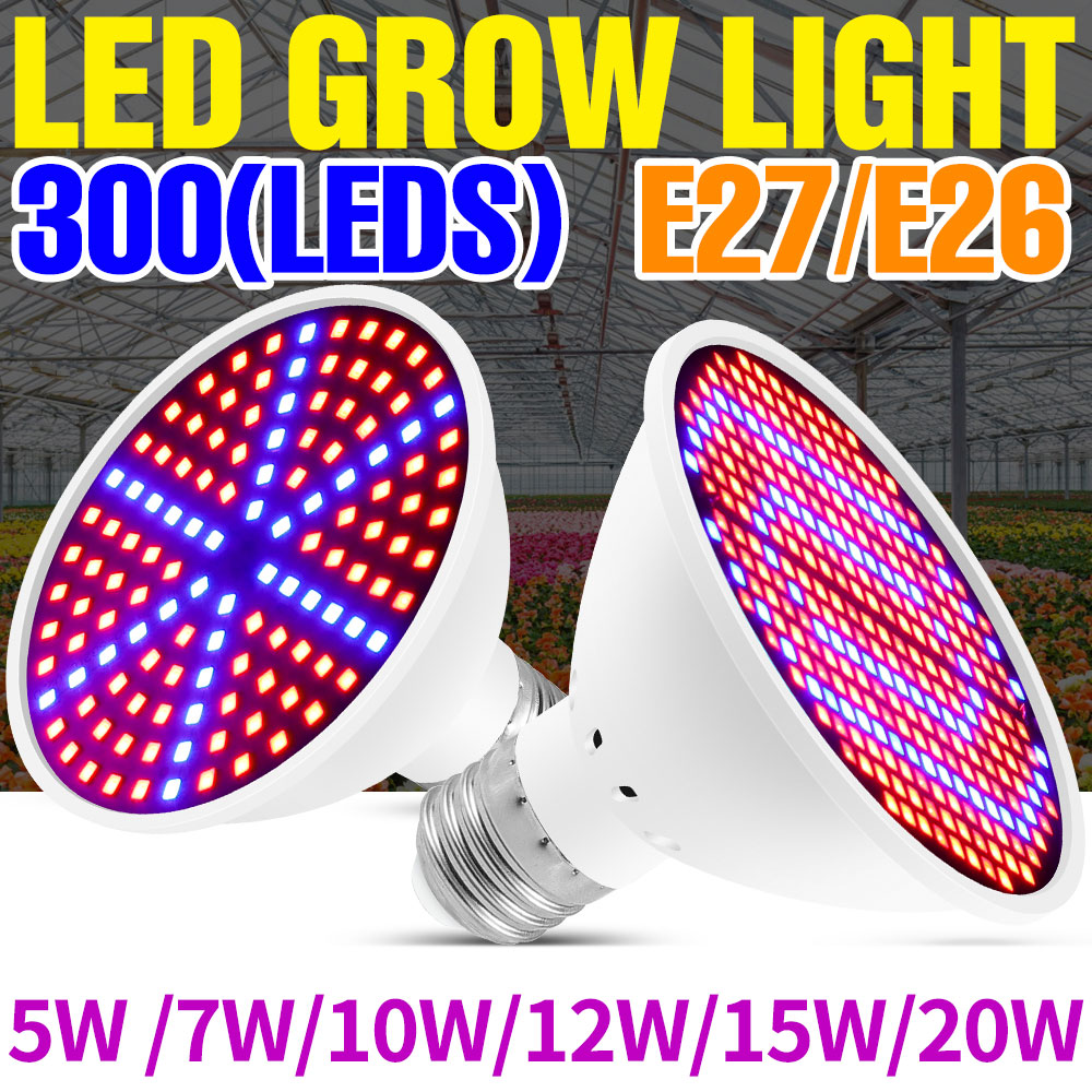 Echeveria Succulent - 25W E27 Pełnospektralna lampa LED do