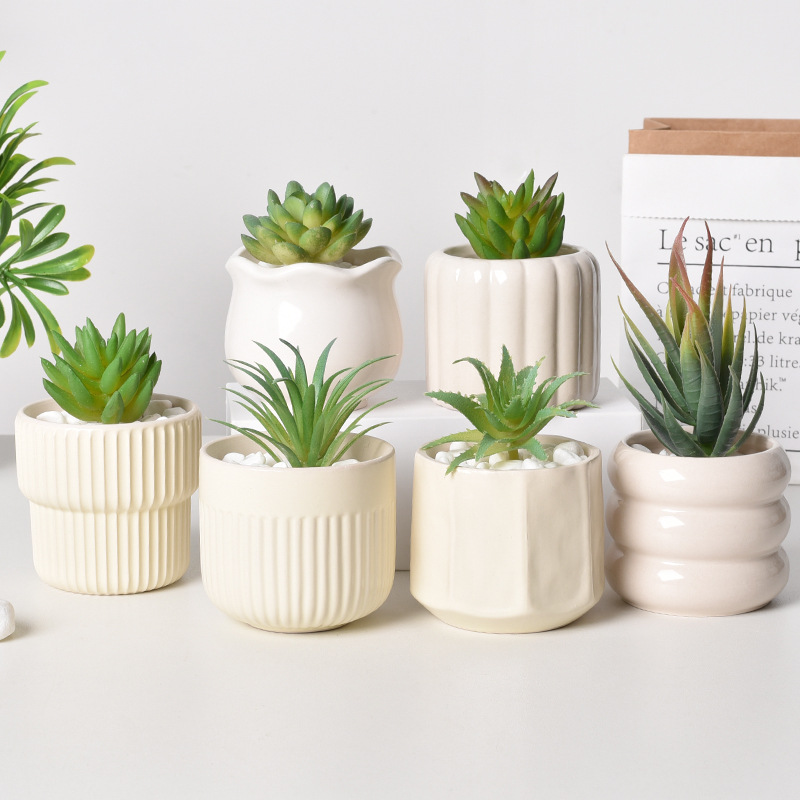 Echeveria Succulent - Ceramiczna doniczka samozraszająca się, biała minimalistyczna