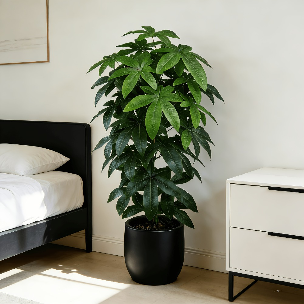 Sztuczna drzewka szczęścia Pac – Ficus Lyrata Tree recenzja i cena