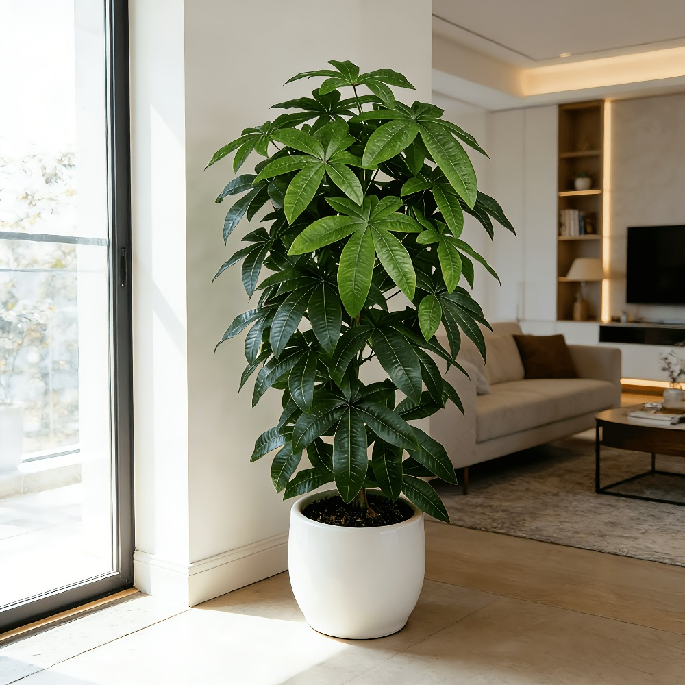 Sztuczna drzewka szczęścia Pac – Ficus Lyrata Tree recenzja i cena